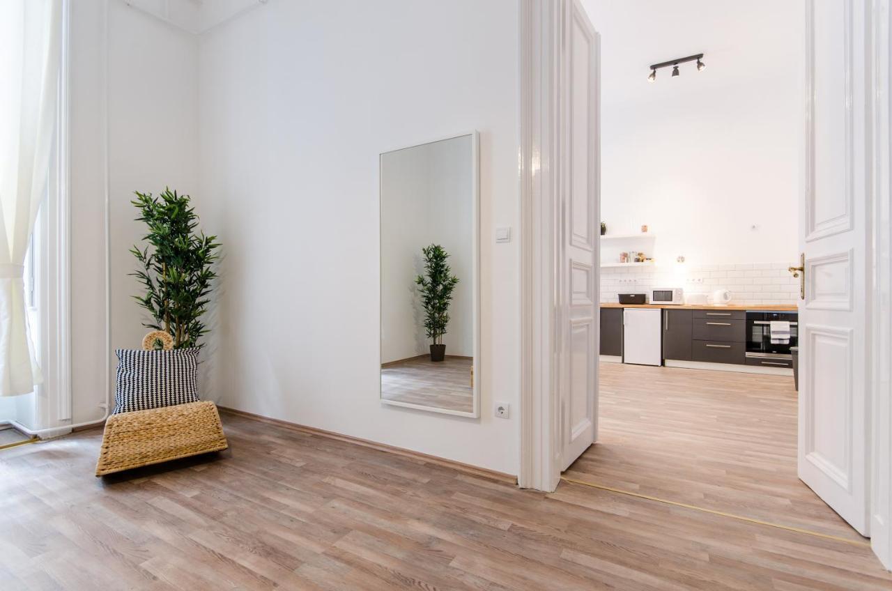 Spacious 3 In Downtown Apartament Budapesta